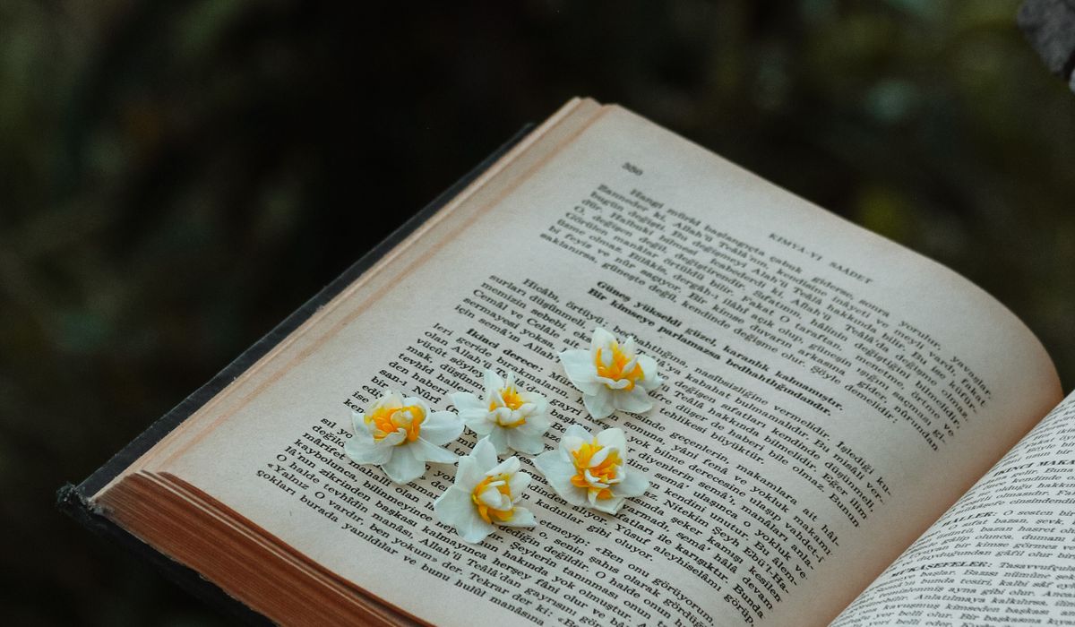 Creating Memorable Characters Readers Will Care About